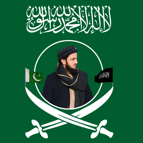 Muhammad Waqas Ghaznavii Logo