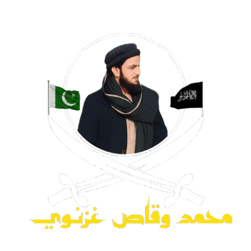 Muhammad Waqas Ghaznavii